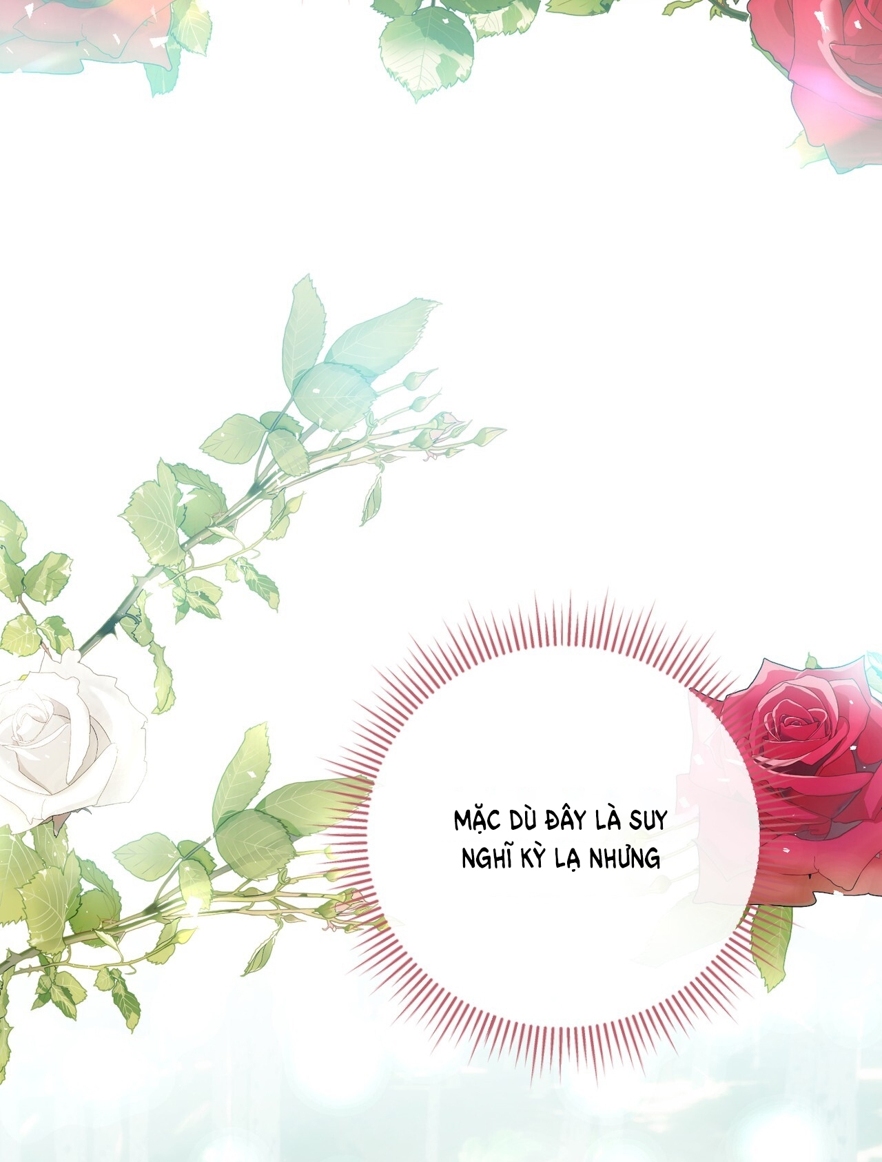 hợp đồng hôn nhân với hai người chồng chapter 12.2 45