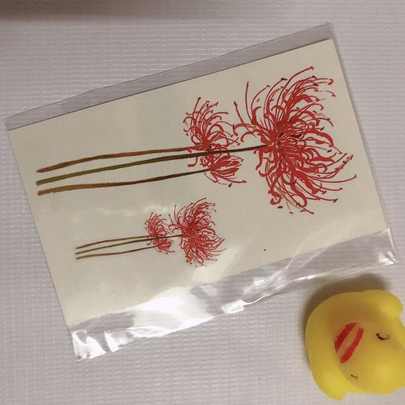 Combo 6 miếng hình xăm hoa bỉ ngạn xinh 10x6cm