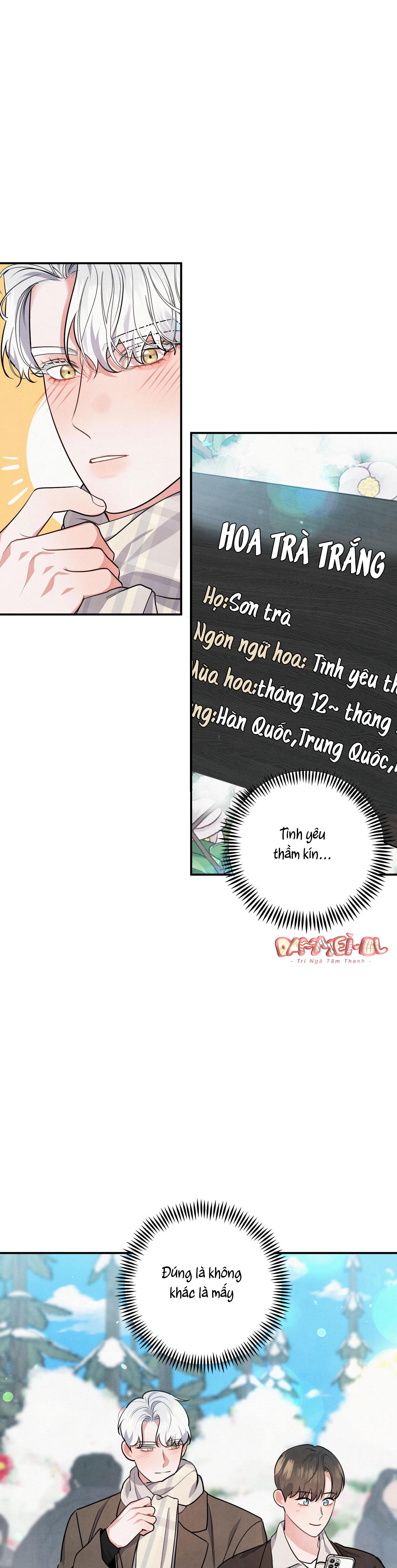 mối quan hệ ngu ngốc chapter 37 17