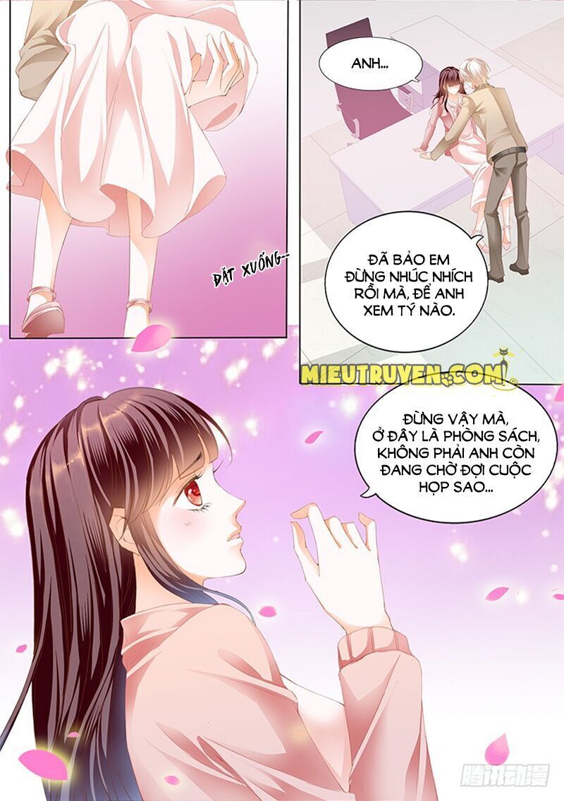 lóe thiểm hôn kiều thê mơ tưởng trốn chapter 176 4