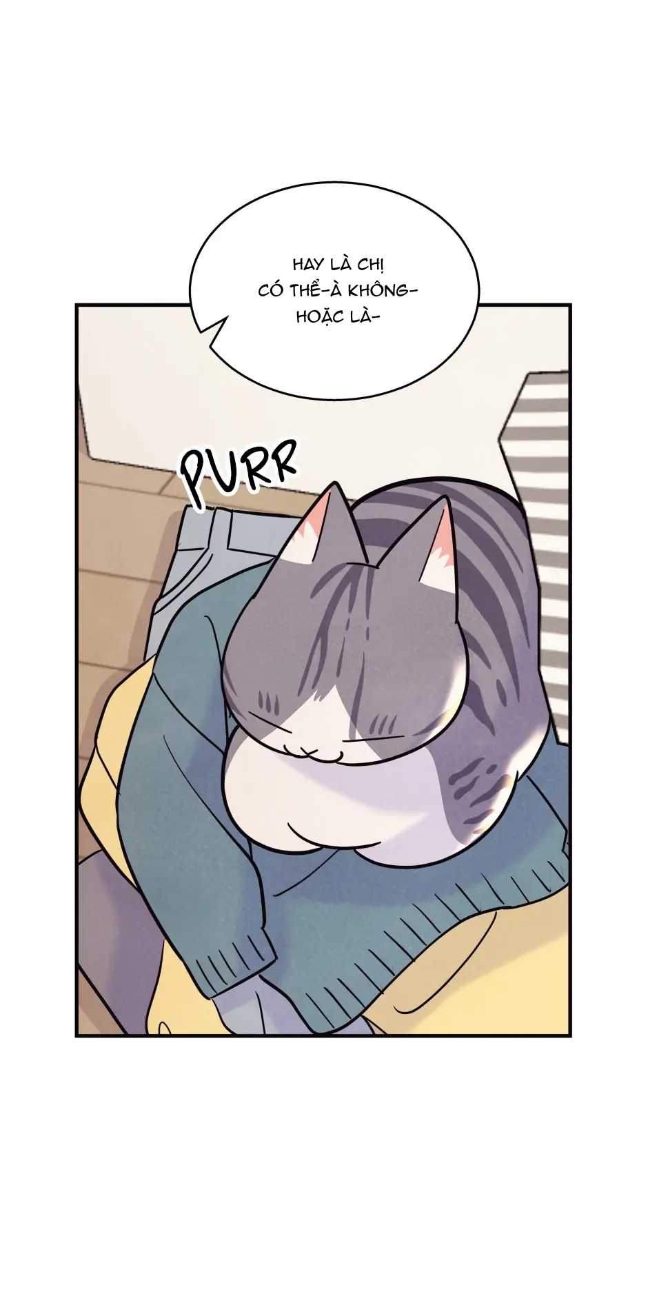 công việc của tôi: ngủ cùng sếp chapter 20.1 10