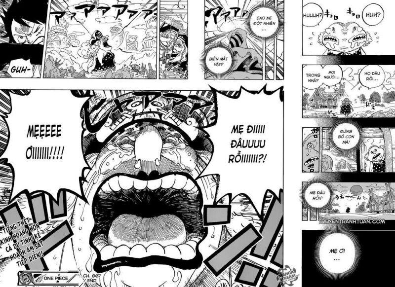 đảo hải tặc - one piece chapter 867 14