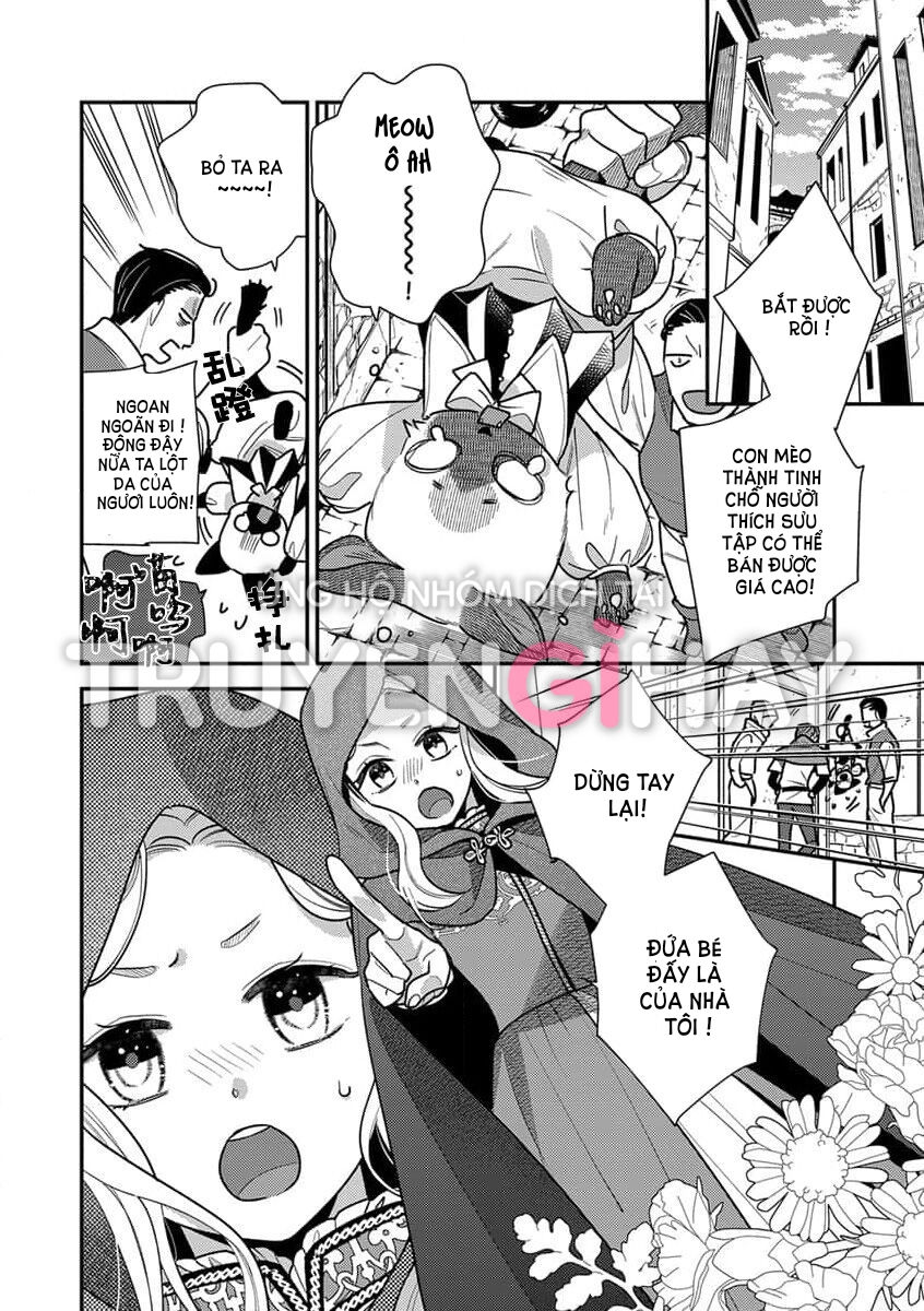 nàng công chúa tái sinh rơi vào tay phù thủy độc ác nhất chapter 3.1 14