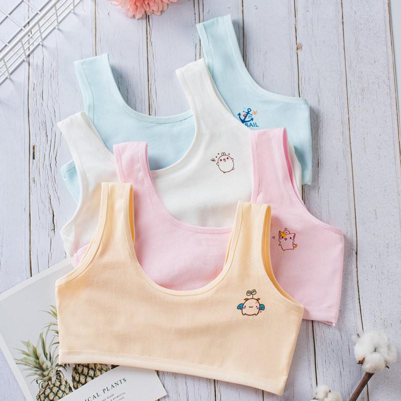 Bộ 5 áo lót học sinh nữ vải cotton dây bản to không đệm mút thoáng mát - ao lot hoc sinh nu day to