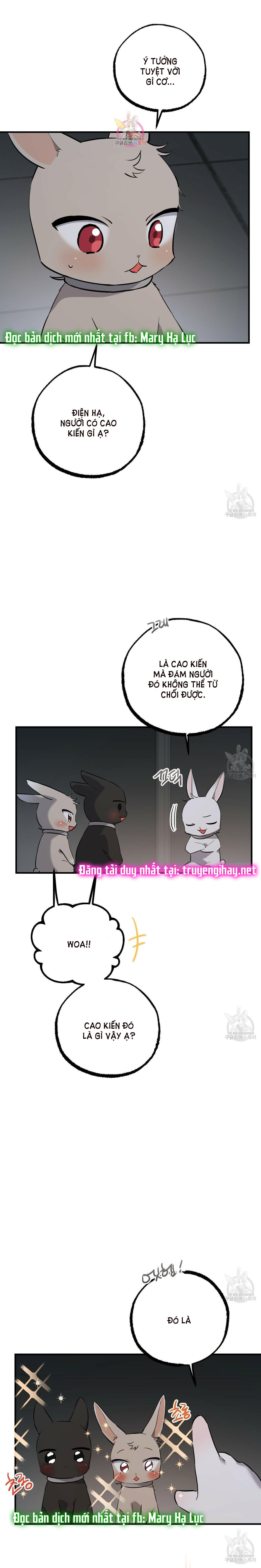 những chú thỏ của hapypy chapter 47 3