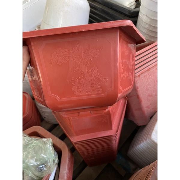 Chậu nhựa lục giác đỏ khắc chữ dày đẹp