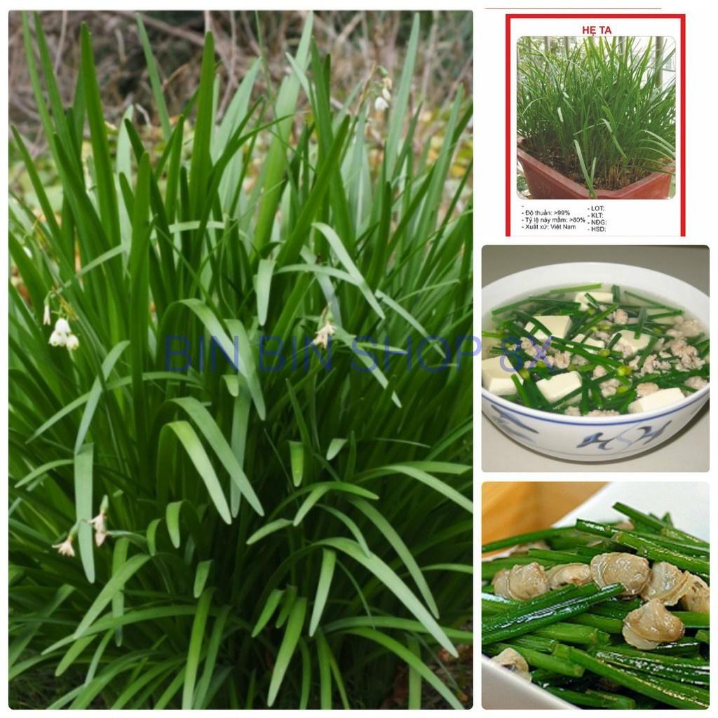 Hạt giống rau hẹ ta cao sản CT132 - Gói 2gram