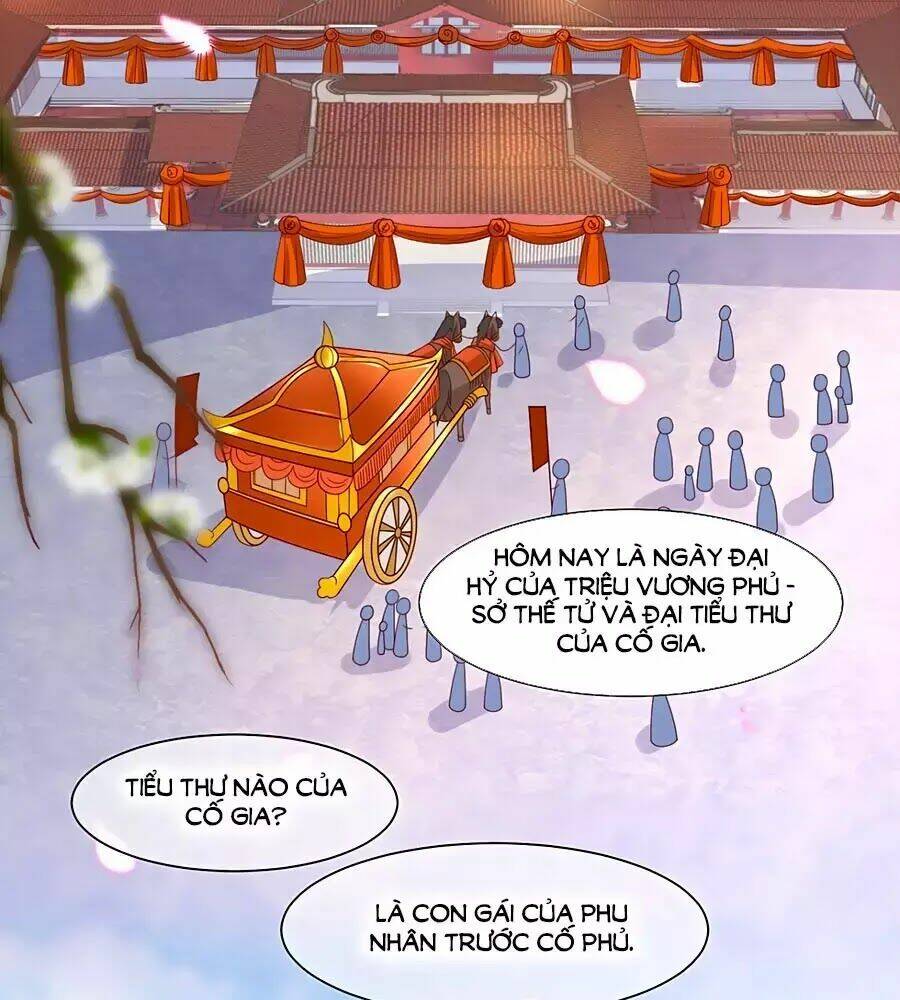 quyền phi chi đế y phong hoa chapter 1.1 4