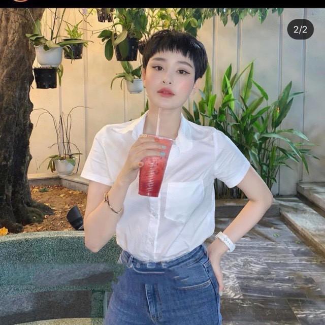 Áo sơ mi đũi - P000033