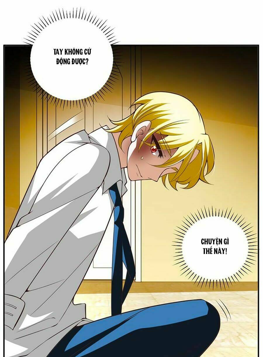 người yêu khát máu của tôi chapter 69 4