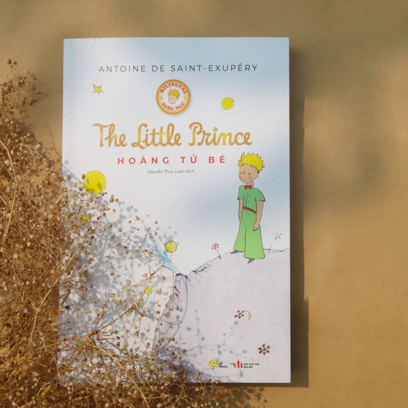 Sách Hoàng Tử Bé song ngữ Việt-Anh - The little prince, truyện song ngữ thiếu nhi, có note từ vựng kèm file nghe - HG Books