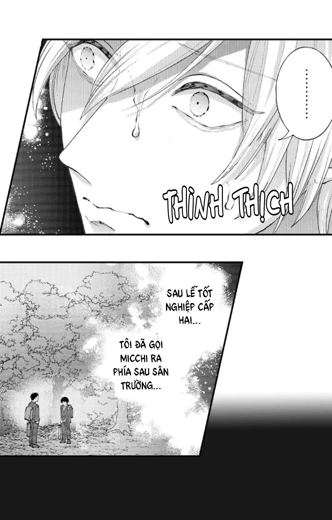 bị tán tỉnh bởi chàng trai lập dị chapter 92 19