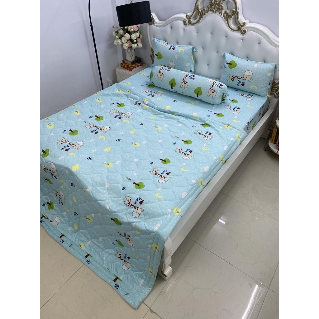 Bộ Drap kèm mền Thun Hàn Quốc ( 5 món } đủ size hoặc mền lẻ