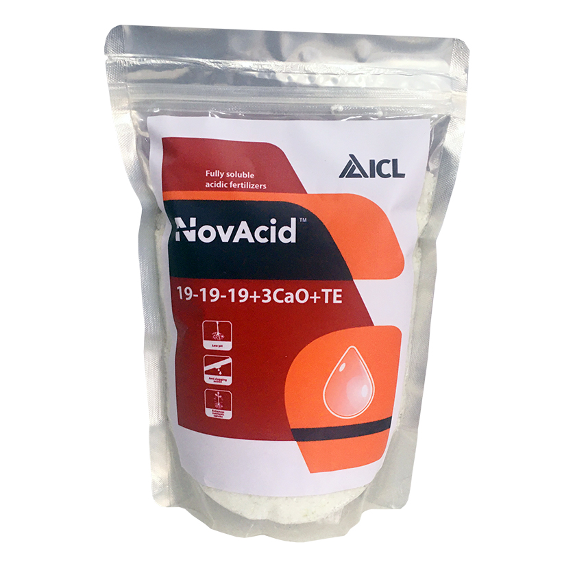 Phân Bón Hoà Tan Israel NovAcid 19-19-19+3CaO+Te là Phân Bón Lá hòa tan 100% trong nước dùng qua hệ thống tưới nhỏ giọt hay tưới phun sương cho hoa và cây