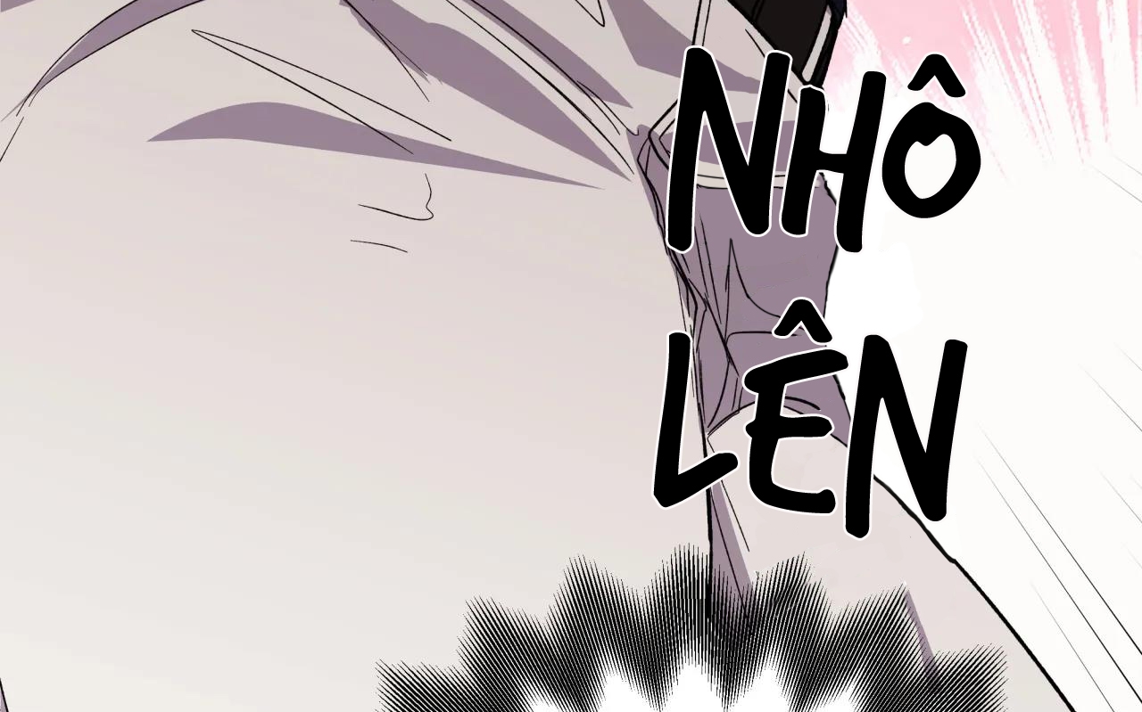 ám ảnh pheromone chapter 48 56