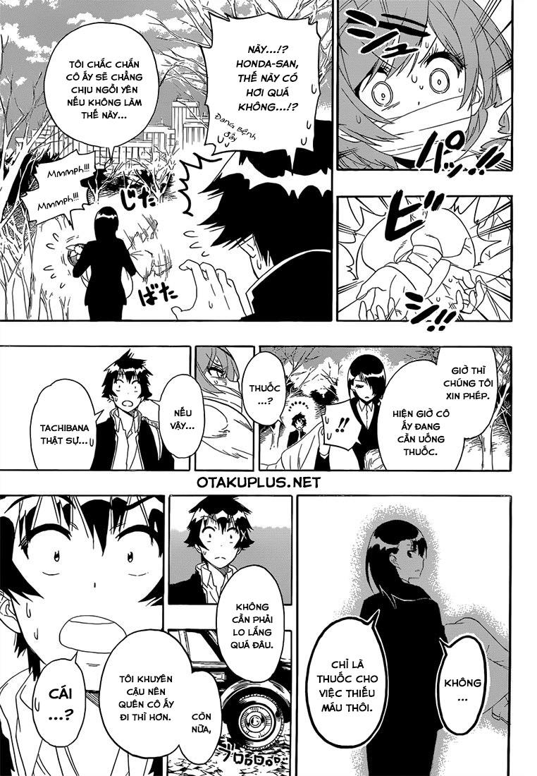 nisekoi - tình yêu giả tạo chapter 181 9