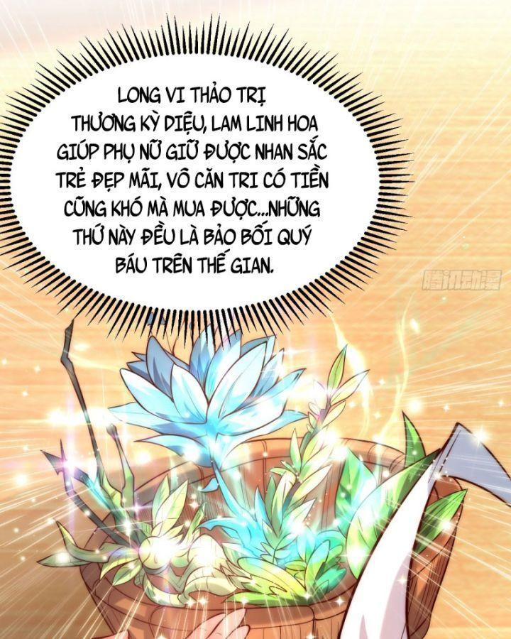 mở màn cống lên thái cổ tiên dược, ta khiến thánh chủ sợ chết khiếp chapter 2 53