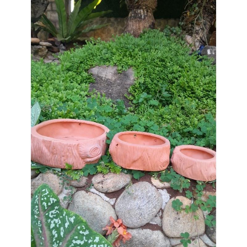 Chậu trồng cây mini - chậu trồng bonsai - chậu trồng sen đá