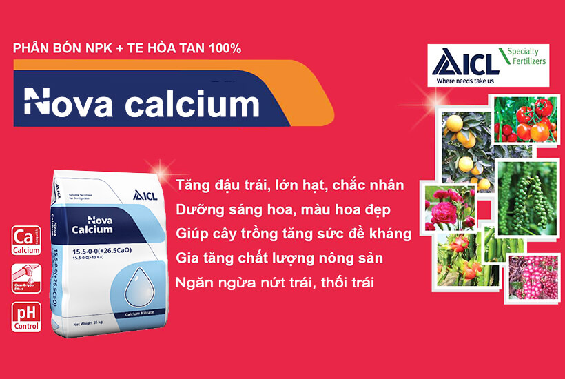 Phân Bón Israel NovAcid Calcium 15.5-0-0 (+26.5 Cao), Hoà Tan 100% Hạn chế rụng trái non, tăng đậu trái và sức đề kháng cho cây trồng