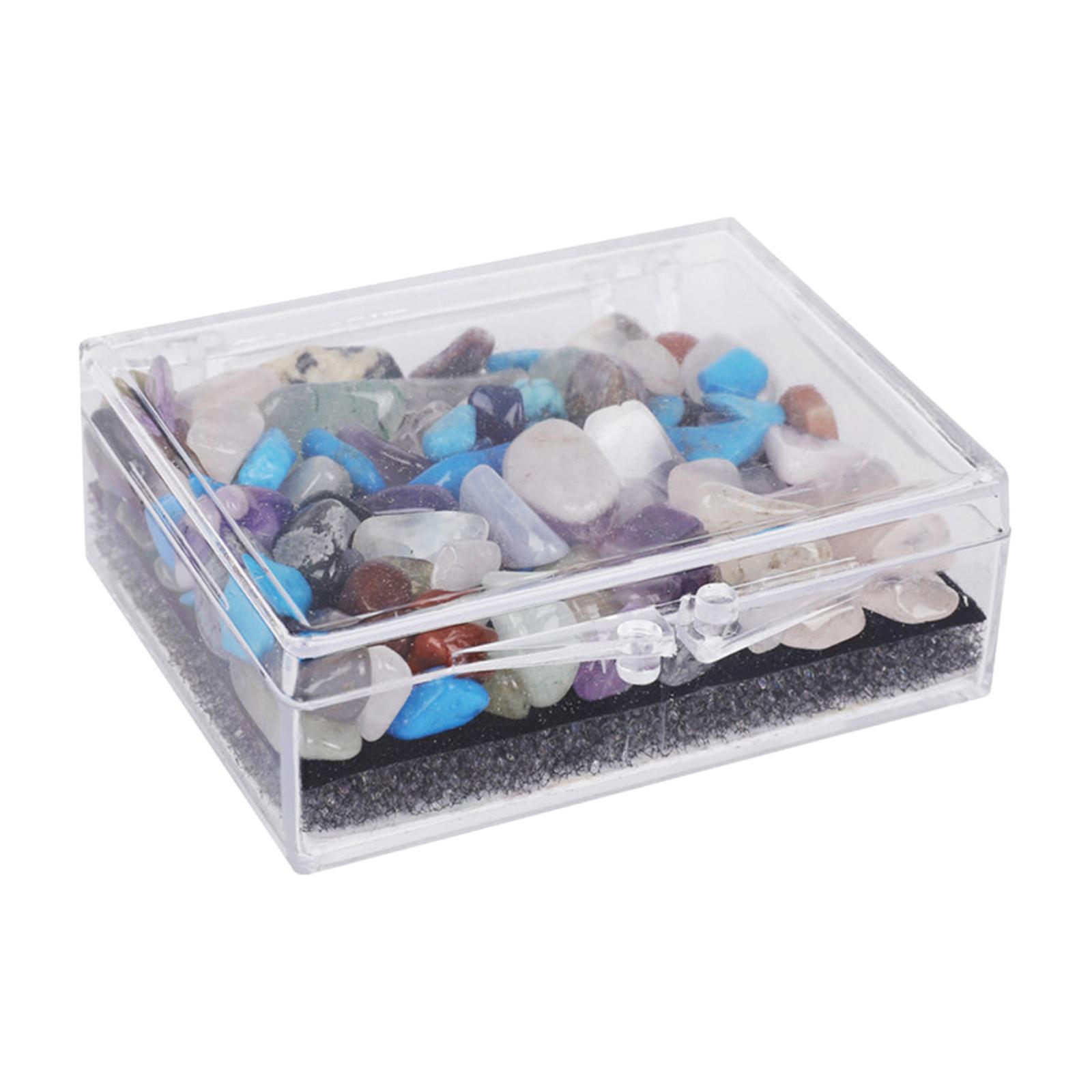 Rock and Mineral Educational Collection Science Ornament Stem for Gift Girls