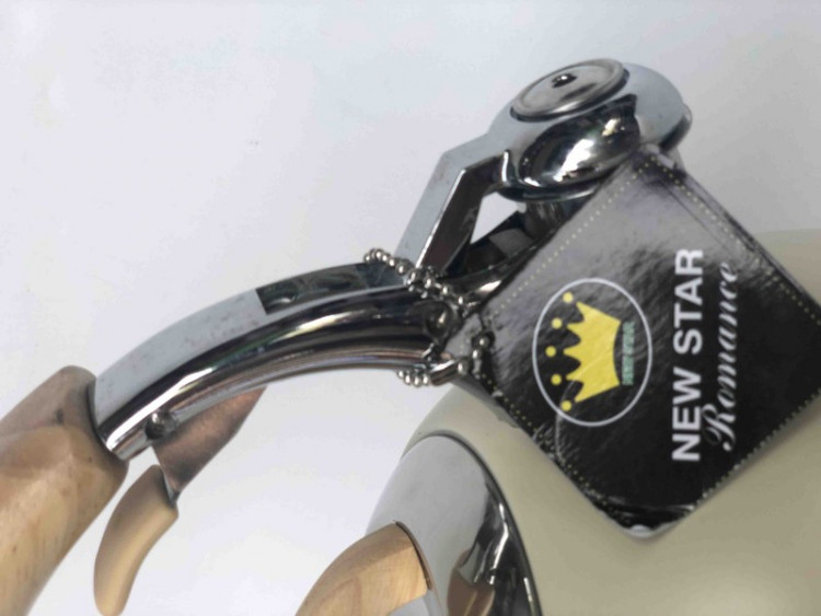 Ấm inox đun bếp từ có còi New Star Romance 4