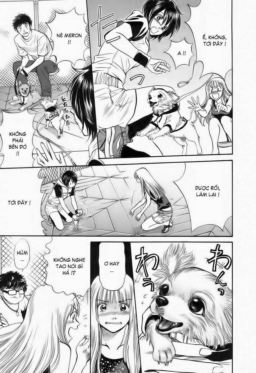 cô nàng yêu chó chapter 36 17