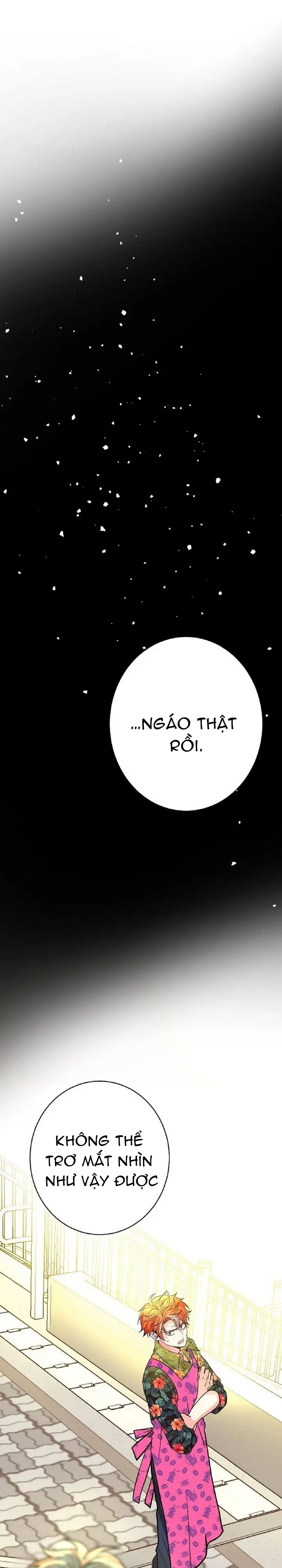 mối quan hệ phù hợp chapter 15 34