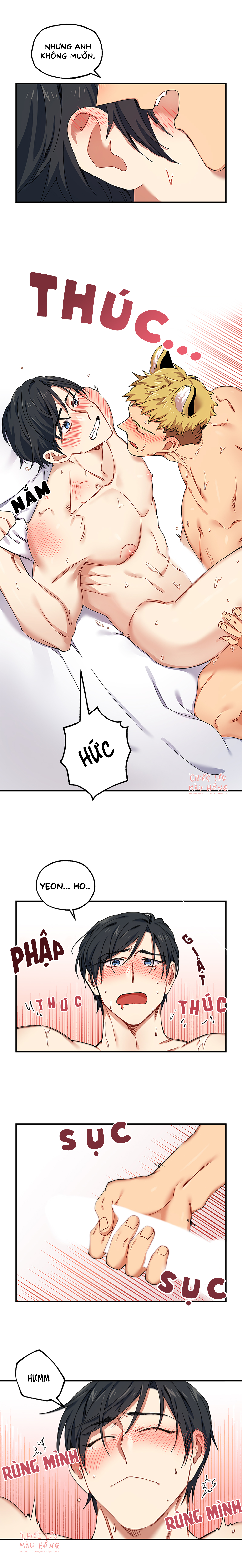 ngày cưới của ngài hổ chapter 3 11