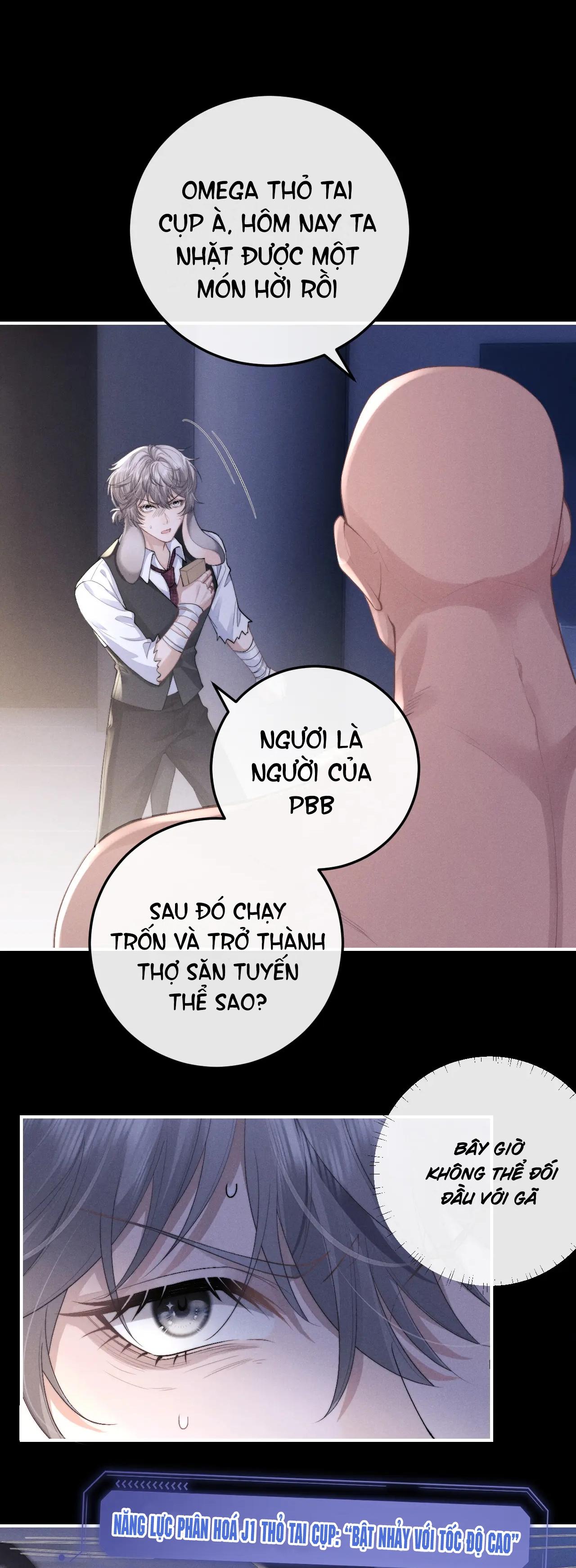 chấp sự thỏ tai cụp chapter 37 30