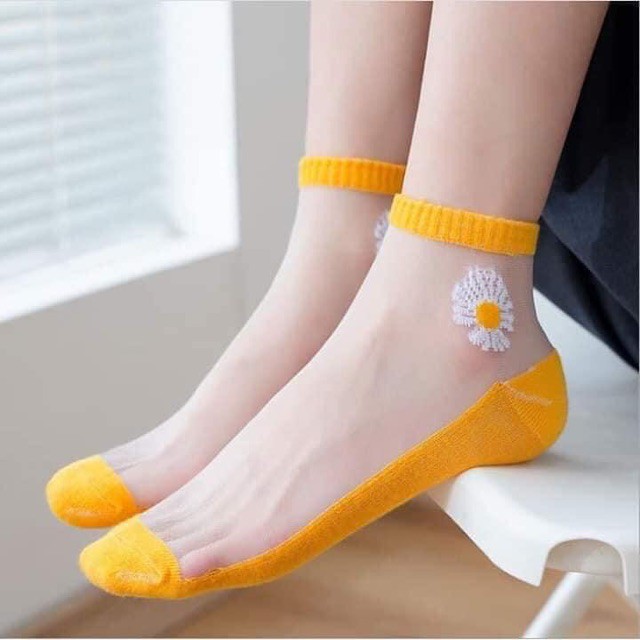 Combo 10 đôi tất lưới ren HOA CÚC thông thoáng