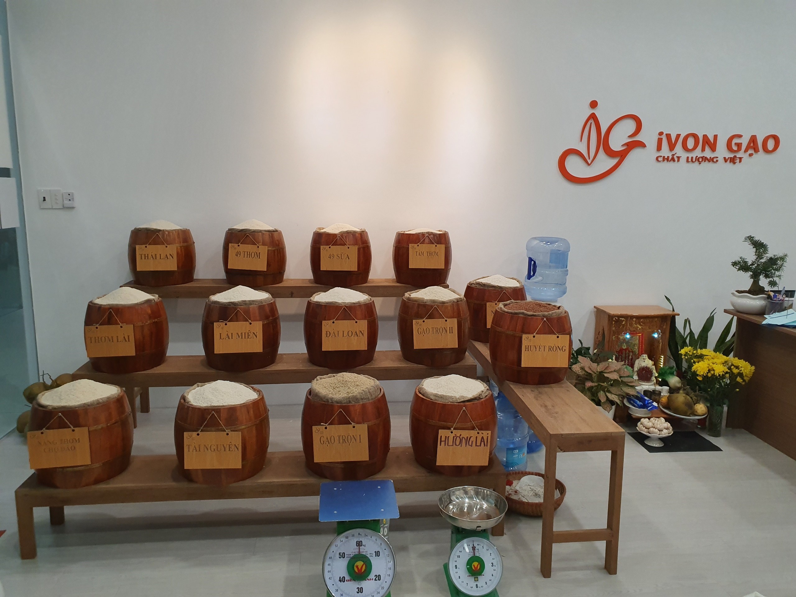 Gạo Nở Xốp Thường - Túi 5 kg - Dẻo, thơm, mềm cơm