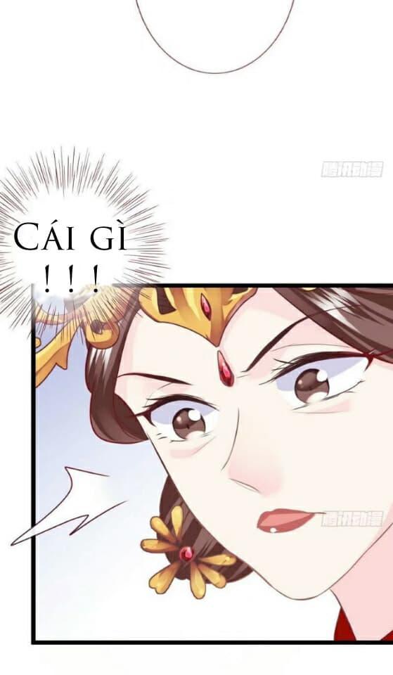 vương phi - âm động thiên hạ chapter 14 28
