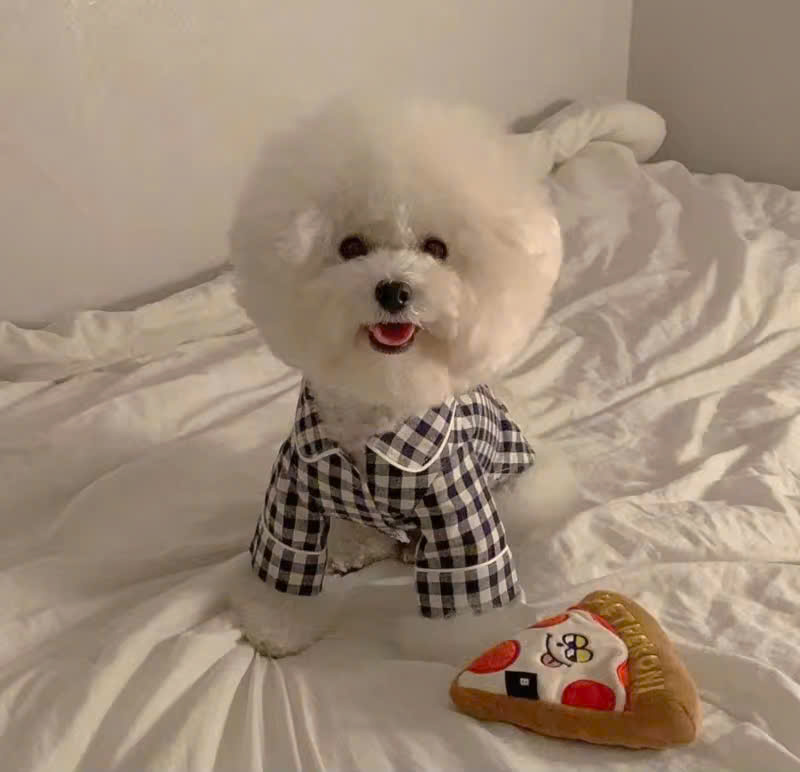 ÁO CARO SANG TRỌNG TỪ 0.2-7KG DÀNH CHO THÚ CƯNG CHÓ MÈO