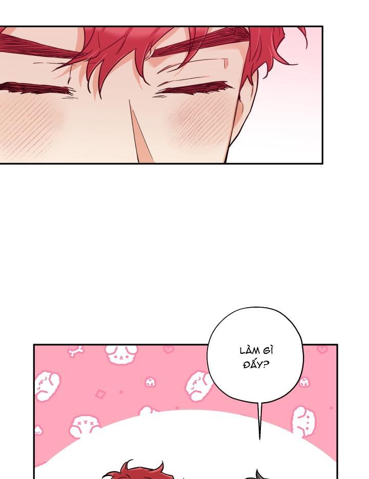 gâu gâu! chapter 29 33