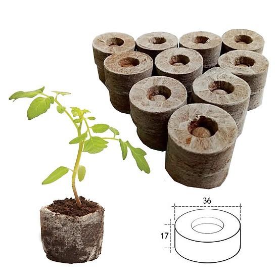 20 Viên Nén Xơ Dừa Ươm Hạt, Viên Nén Nảy Mầm