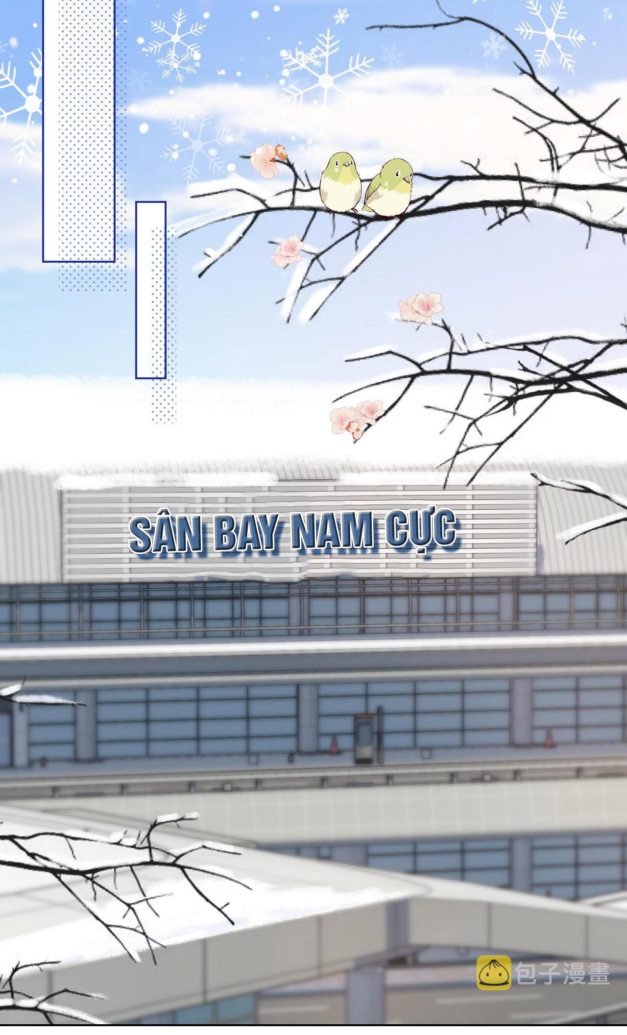 [ss2] một ngụm ăn cả thỏ con chapter 1 2