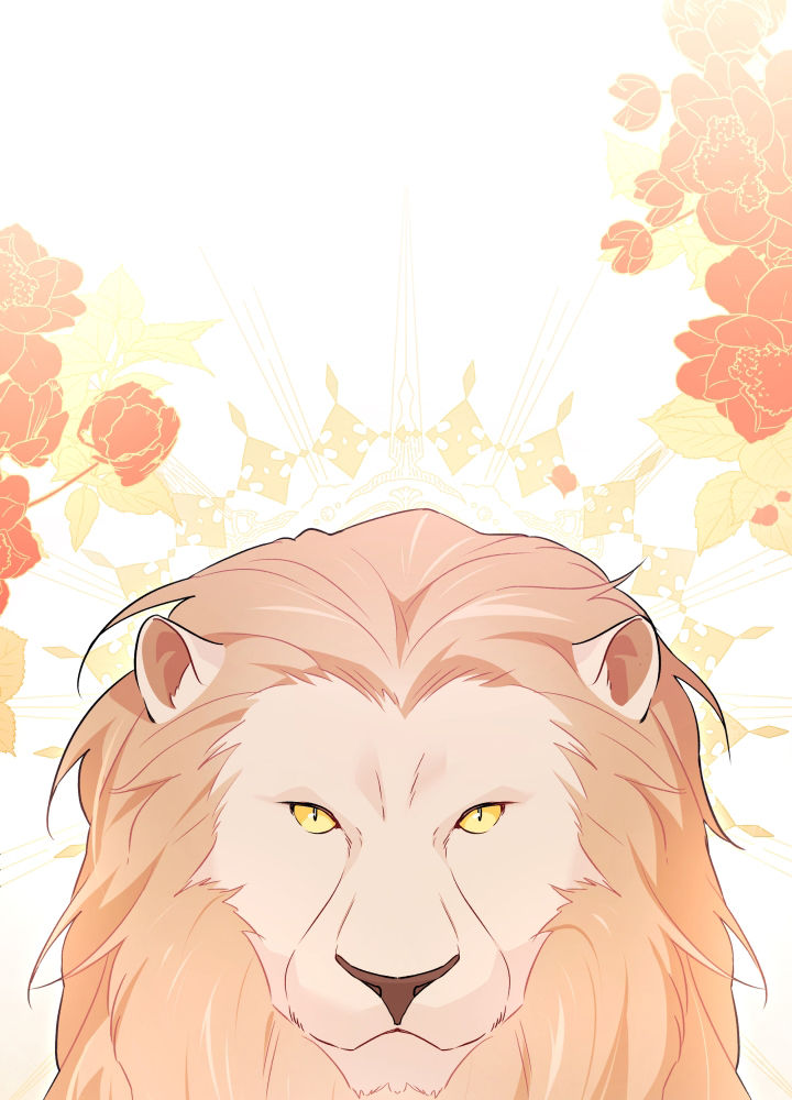 mối liên kết giữa báo đen và bé thỏ chapter 33 36