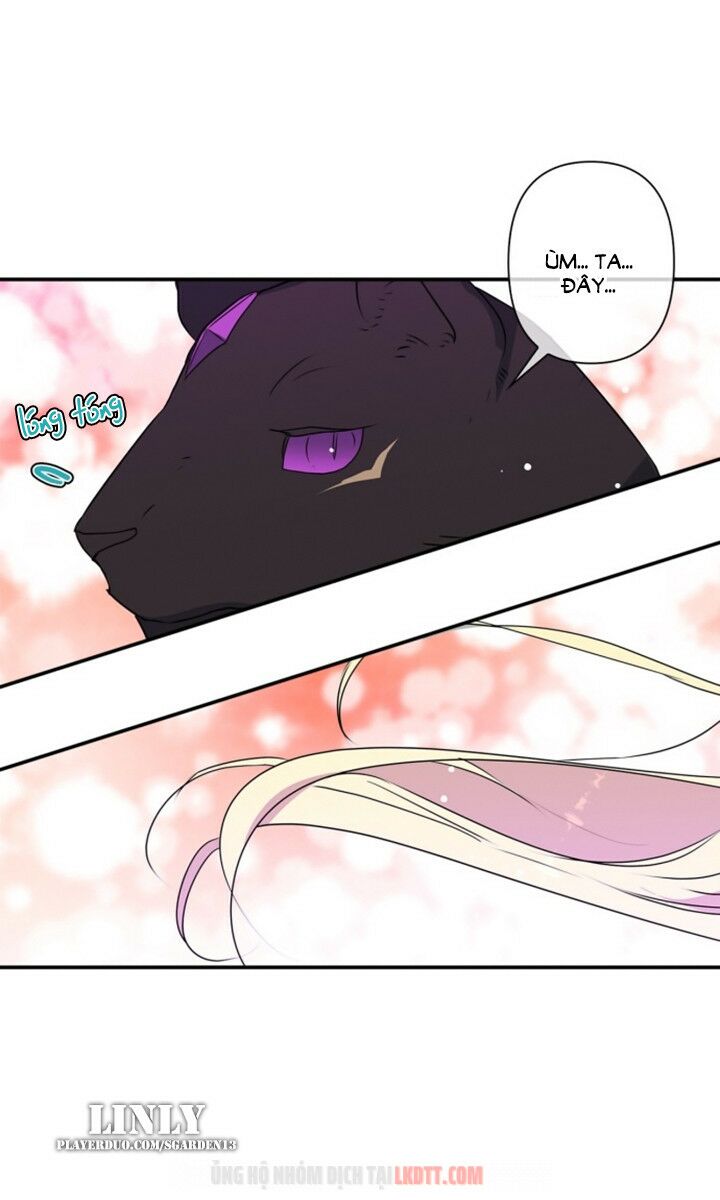 tôi đang nuôi dưỡng một con quái thú chapter 28 60