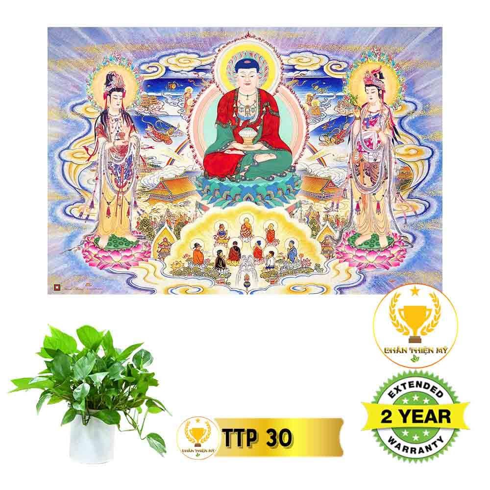 Tranh điện Tam Thế Phật_TTP3