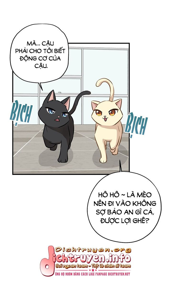 cuộc sống kỳ thú chapter 58 60