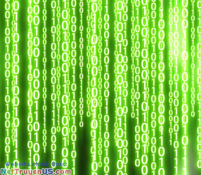 Gậy Gỗ Cấp 99+ chapter 85.5 377