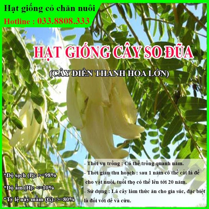 Hạt Giống Cây So Đũa (50g) – Điền Thanh Hoa Lớn - Giống Cỏ Chăn Nuôi - Hạt Giống Cỏ Chăn Nuôi động vật