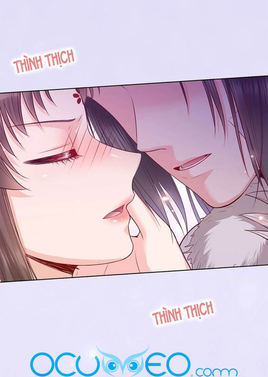 mỹ nhân già rồi chapter 65 43