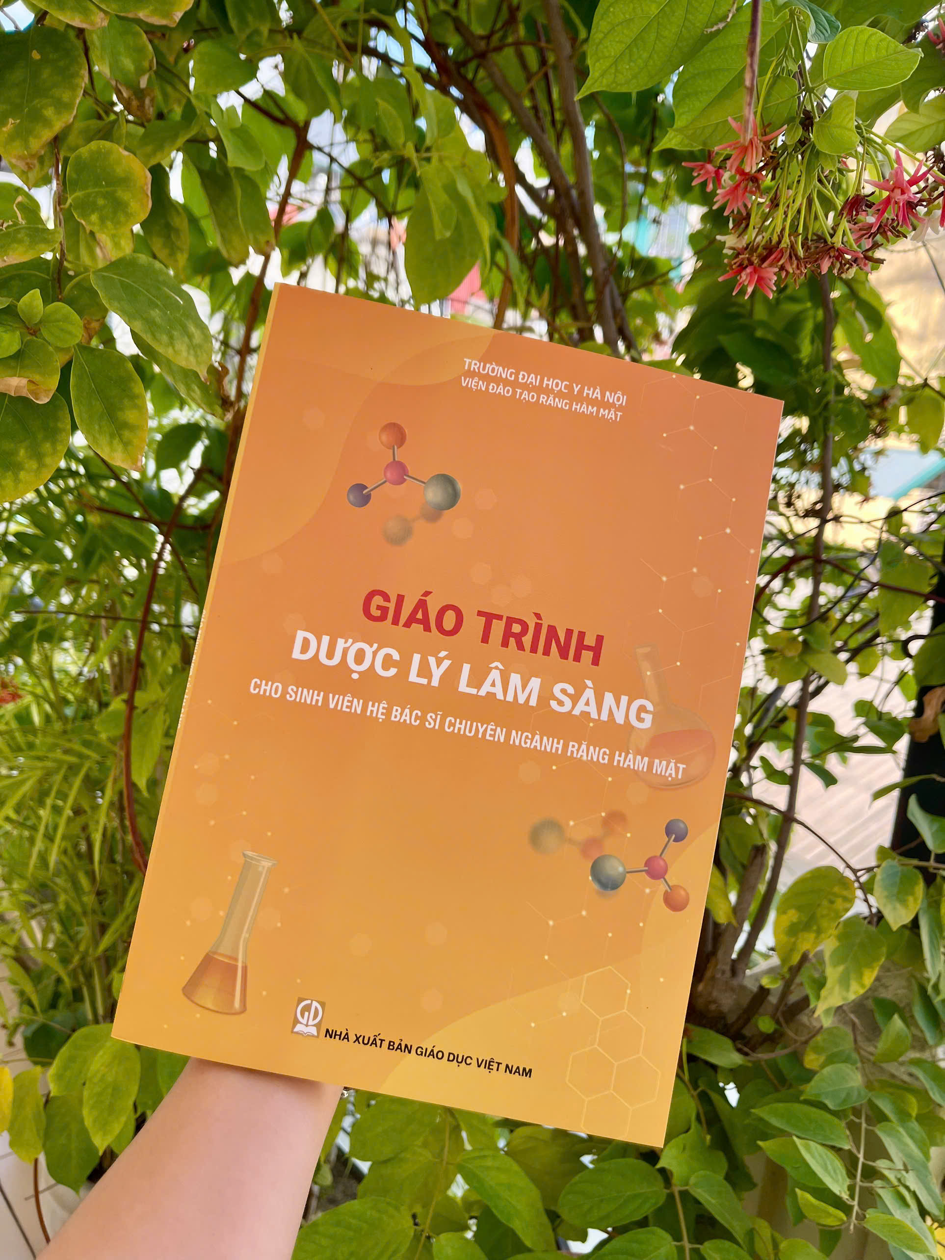 Giáo trình Dược lý lâm sàng cho sinh viện hệ bác sĩ chuyên ngành Răng Hàm Mặt - ảnh 2
