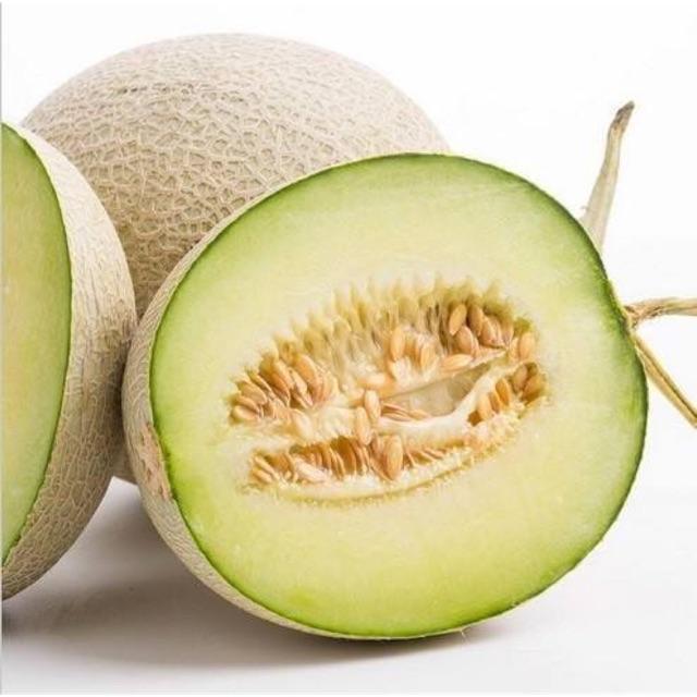 Hạt giống dưa lưới ruột xanh Chia Tai F1