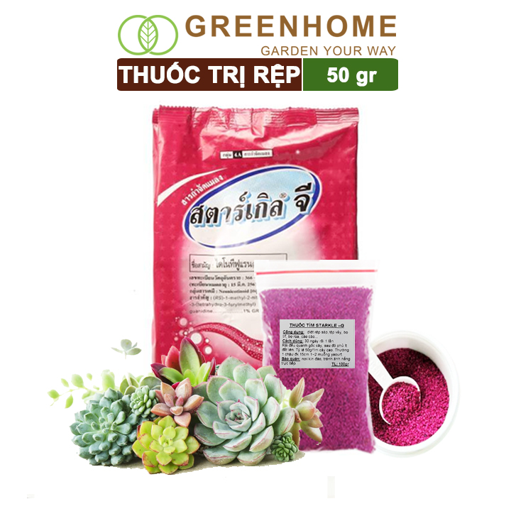 Thuốc Tím Trị Rệp Greenhome, Starkle-G, Bao 50gr, Lưu Dẫn, An Toàn, Hiệu Quả, Dùng Cho Sen Đá, Xương Rồng, Hoa hồng