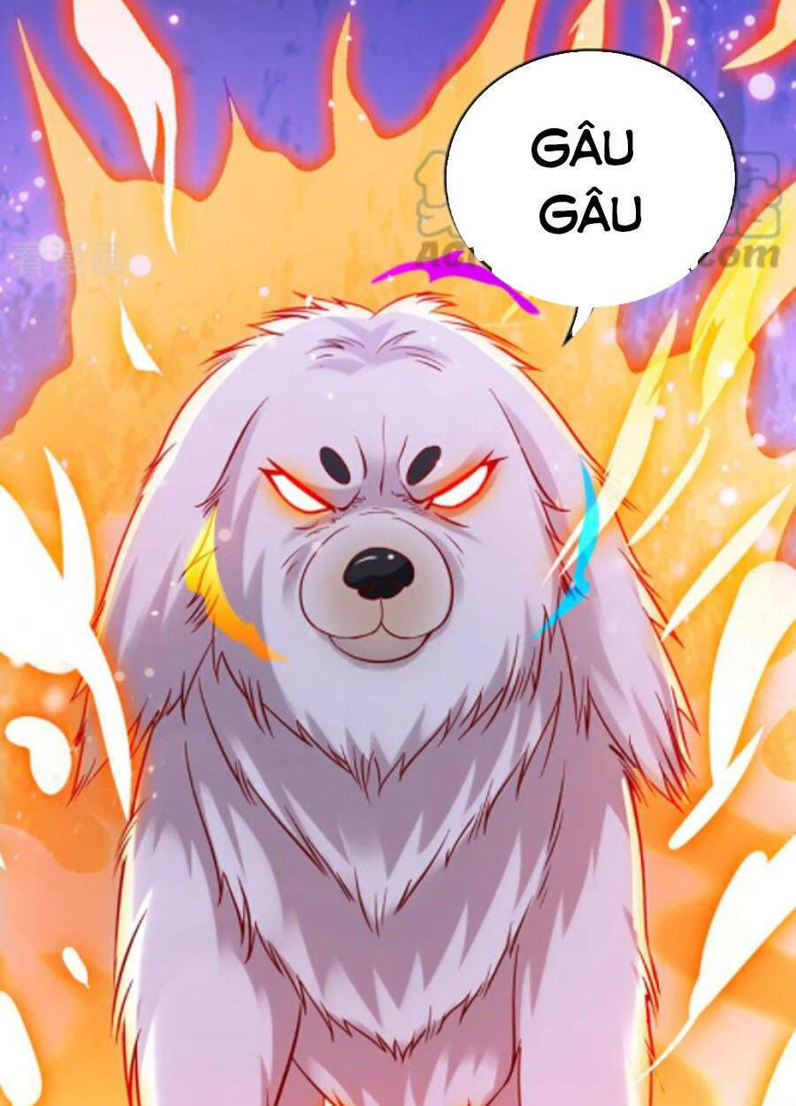 tối cường thần y tại đô thị chapter 246 33