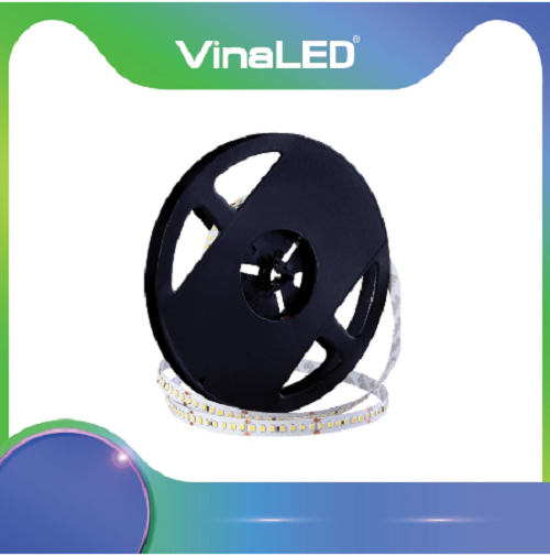 Led dây 2835, D24 168 Led VINALED