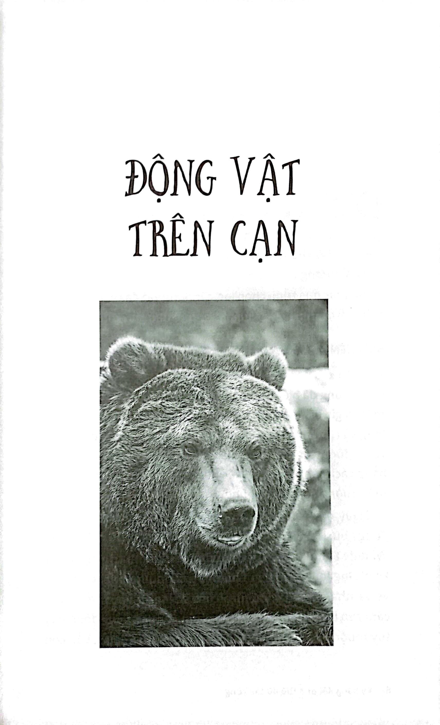 Kỹ Năng Đối Phó Thú Dữ Tấn Công