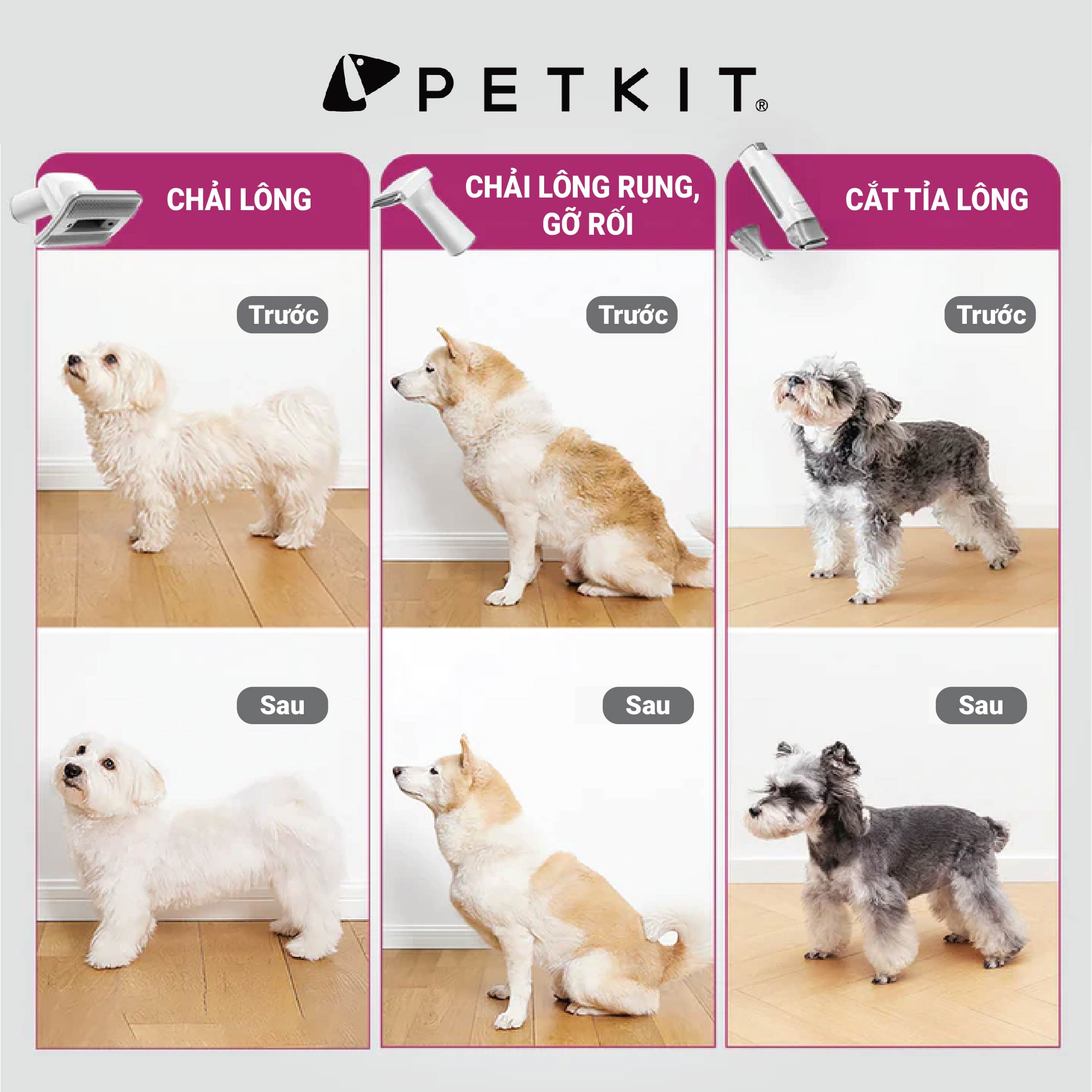 Máy Cắt, Tỉa, Hút Lông Chó Mèo Petkit 5 Công Dụng